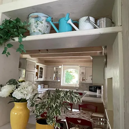 Tulipes Et Cetera 3* Waldighoffen