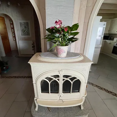 Tulipes Et Cetera