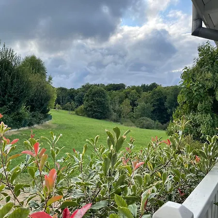 Tulipes Et Cetera Waldighoffen