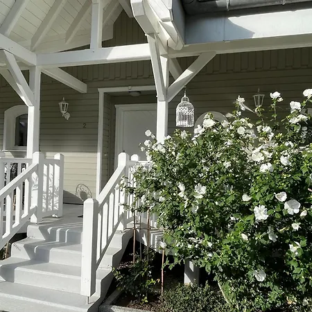 Tulipes Et Cetera 3*