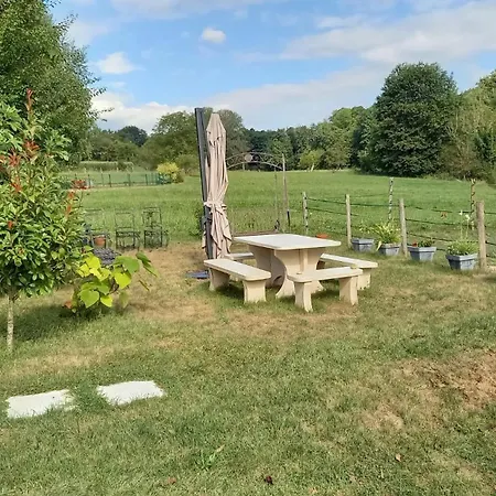 Tulipes Et Cetera 3*