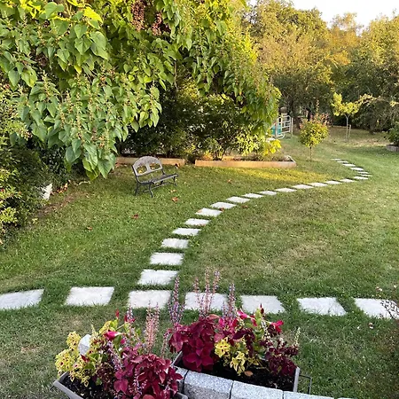 Tulipes Et Cetera