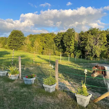 ゲストハウス Tulipes Et Cetera 3*