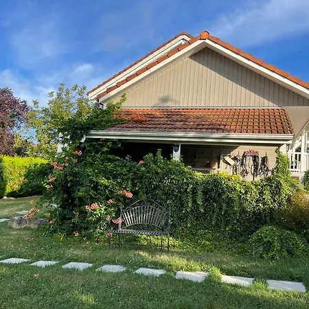 Tulipes Et Cetera 3*