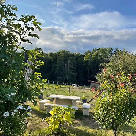 Tulipes Et Cetera Guest house 3*