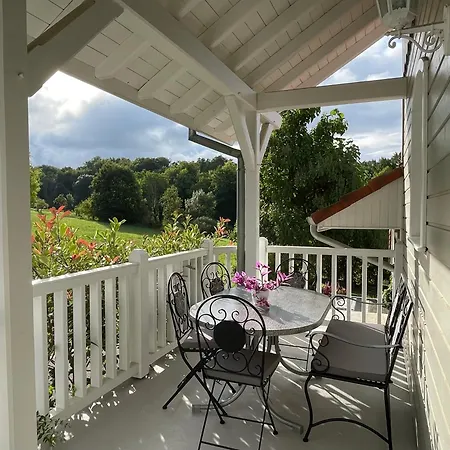 Tulipes Et Cetera 3*