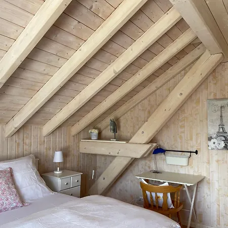 Tulipes Et Cetera Waldighoffen