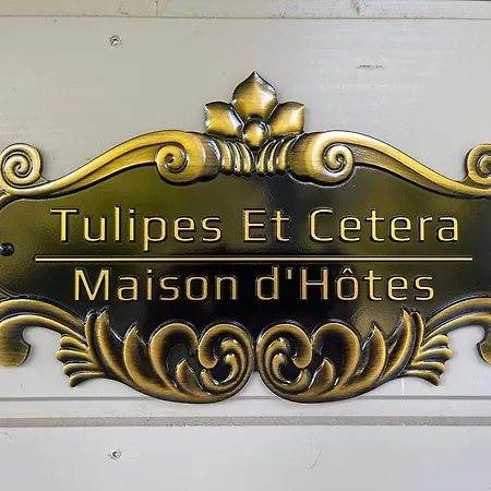 Tulipes Et Cetera *