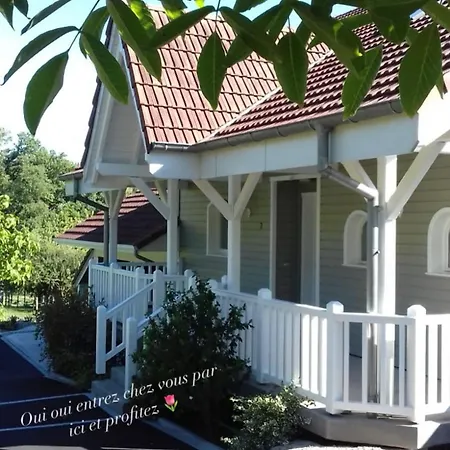 Tulipes Et Cetera بيت ضيافة