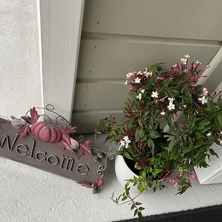 Tulipes Et Cetera Maison d'hôtes 3*