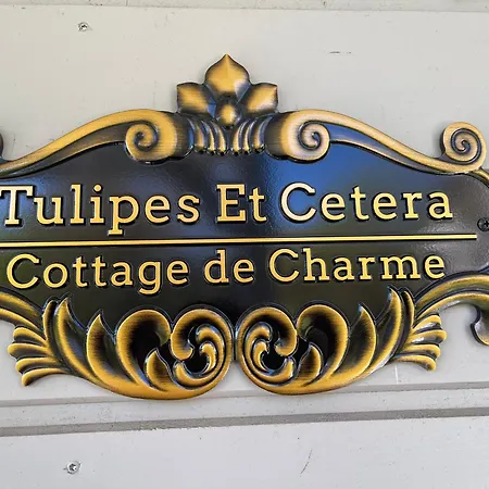 Tulipes Et Cetera 3*