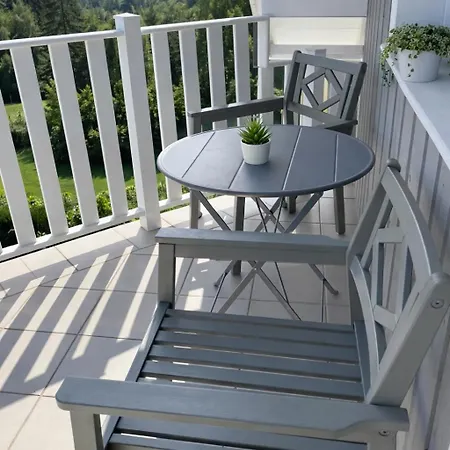 Tulipes Et Cetera 3*