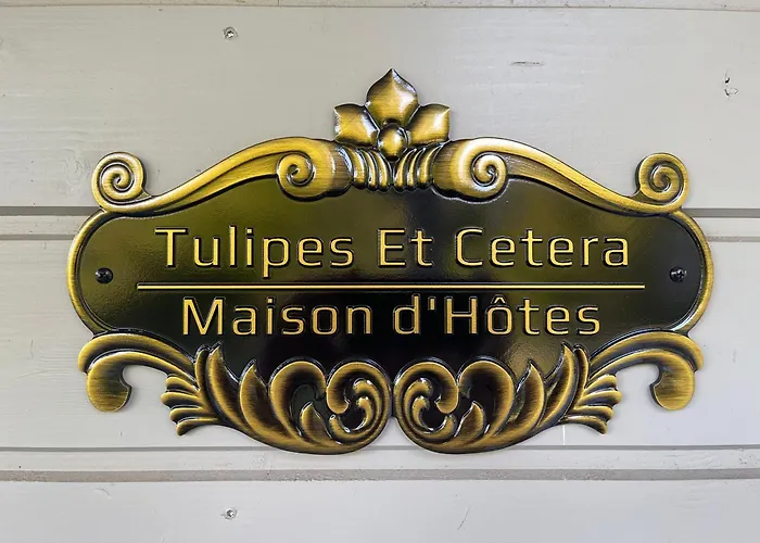 Tulipes Et Cetera 3*
